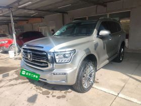 坦克500新能源 2024款 Hi4-T