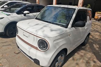 吉利银河 2023款 熊猫mini 200km 耐力熊