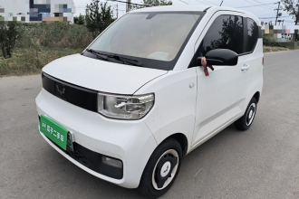 五菱汽车 宏光MINIEV 2022款 自在款 磷酸铁锂