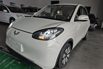 五菱汽车 五菱缤果 2023款 203km 轻享款