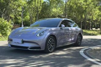 欧拉闪电猫 2022款 555km 尊贵版