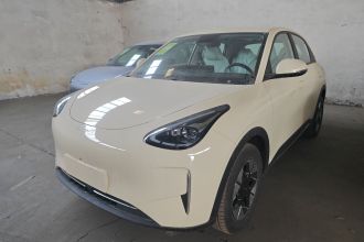 吉利银河 星愿 2026款 310km 梦想版