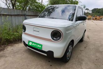 吉利银河 2024款 熊猫mini 200km 耐力熊