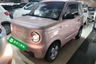 吉利银河 2023款 熊猫mini 200km 耐力熊