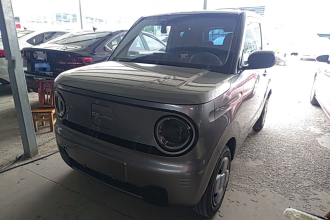 吉利银河 2023款 熊猫mini 200km 耐力熊