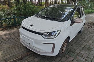 思皓 2022款 花仙子款 满天星