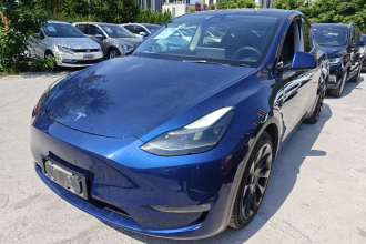 特斯拉 Model Y 2021款 长续航全轮驱动版