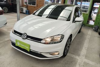 大众 高尔夫 2019款 280TSI DSG豪华型 国V