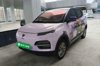 大运 悦虎 2022款 300 标准版