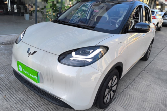 五菱汽车 五菱缤果 2025款 333km 悦享款