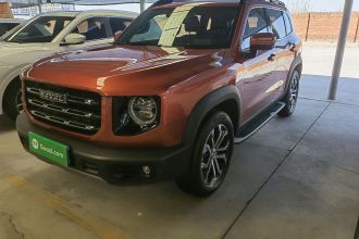 哈弗大狗 2021款 1.5T DCT两驱马犬版