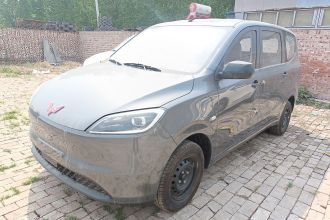 五菱汽车 五菱宏光新能源 2024款 纯电版 300KM 标准型