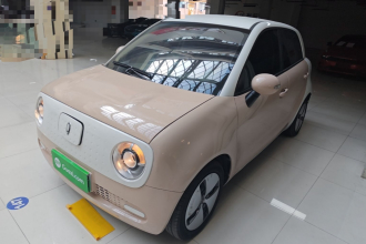 欧拉黑猫 2022款 改款 301km 萌宠版 磷酸铁锂