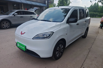 五菱汽车 五菱宏光新能源 2024款 纯电版 300KM 标准型