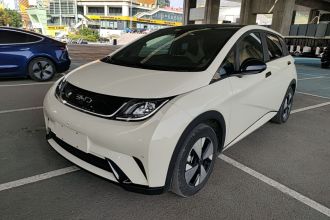 比亚迪 海豚 2023款 420km 时尚版