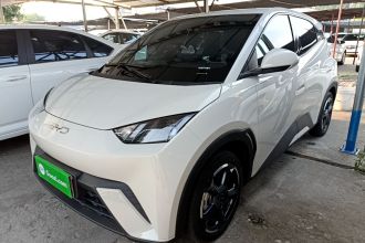 比亚迪 海鸥 2024款 荣耀版 305km 自由版