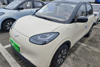 五菱汽车 五菱缤果 2025款 333km 灵犀互联款