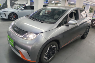 比亚迪 海豚 2021款 405km 时尚版