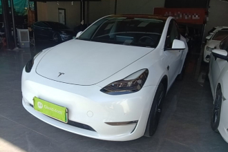 特斯拉 Model Y 2021款 标准续航后驱版