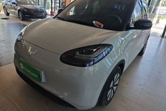 五菱汽车 五菱缤果 2024款 333km 悦享款