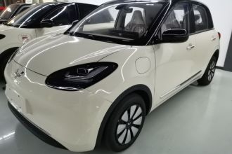 五菱汽车 五菱缤果 2025款 333km 悦享款