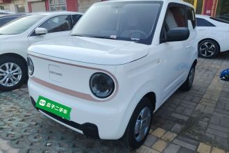 吉利银河 2024款 熊猫mini 200km 耐力熊