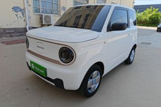 吉利银河 2023款 熊猫mini 200km 耐力熊