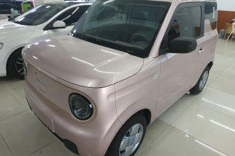 吉利银河 2024款 熊猫mini 200km 龙腾PRO版