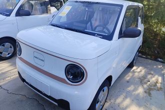 吉利银河 2024款 熊猫mini 200km 耐力熊