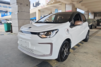 思皓 2022款 花仙子款 四叶草