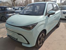 凯翼拾月 2026款 Mate 305km 国轩踏浪版