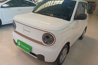 吉利银河 2024款 熊猫mini 200km 耐力熊