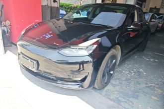 特斯拉 Model 3 2020款 改款 标准续航后驱升级版