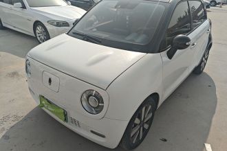 欧拉黑猫 2019款 351km 女神版