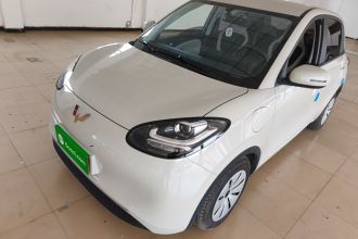 五菱汽车 五菱缤果 2023款 333km 快享款