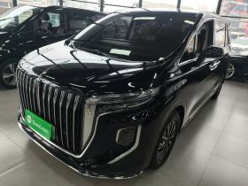 红旗HQ9 PHEV 2024款 2.0T 四驱商务版