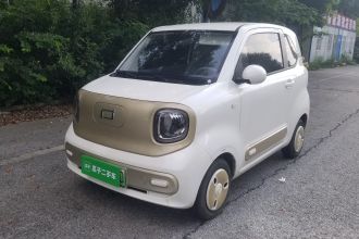 奔腾小马 2024款 170km 元气马