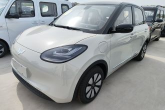 五菱汽车 五菱缤果 2025款 333km 悦享款