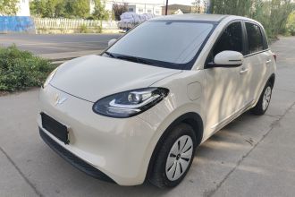 五菱汽车 五菱缤果 2024款 203km 轻享款