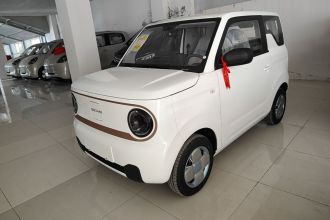 吉利银河 2024款 熊猫mini 200km 耐力熊