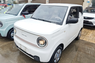 吉利银河 2023款 熊猫mini 200km 耐力熊