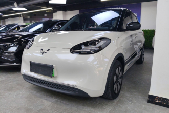 五菱汽车 五菱缤果 2024款 333km 悦享款