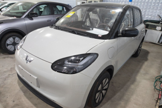 五菱汽车 五菱缤果 2025款 333km 悦享款