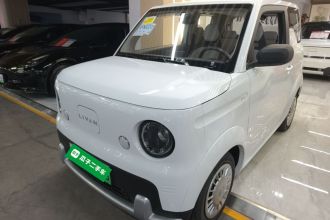 睿蓝汽车 睿蓝蓝气球 2025款 活力版