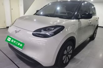 五菱汽车 五菱缤果 2024款 333km 悦享款