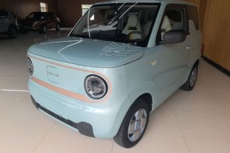 吉利银河 2023款 熊猫mini 200km 耐力熊