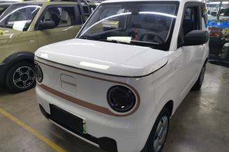 吉利银河 2025款 熊猫mini 210km 元气熊