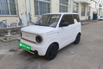 吉利银河 2023款 熊猫mini 200km 耐力熊