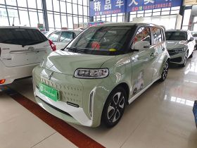 欧拉白猫 2022款 小野猫版 360km 豪华型 三元锂
