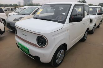吉利银河 2024款 熊猫mini 200km 耐力熊